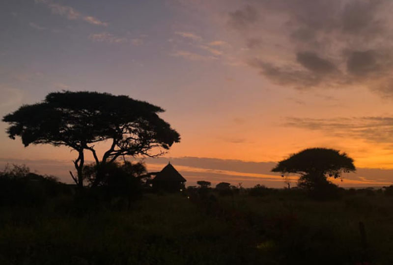 Marimpet Safaris