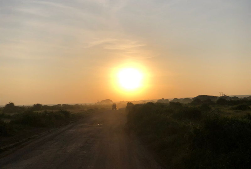 Marimpet Safaris