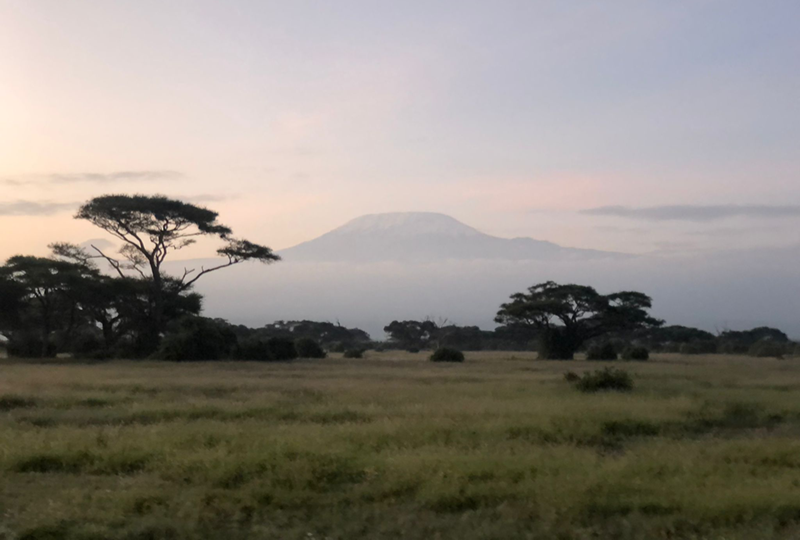 Marimpet Safaris